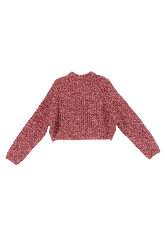 Melange multicolor crop sweater top