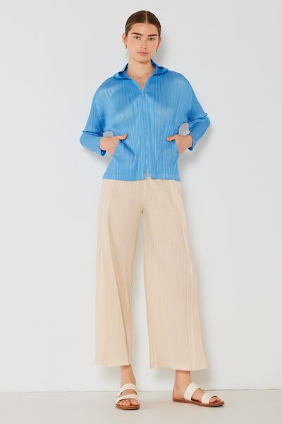 Pleated Wide-Leg Pants with Side Pleat Detail