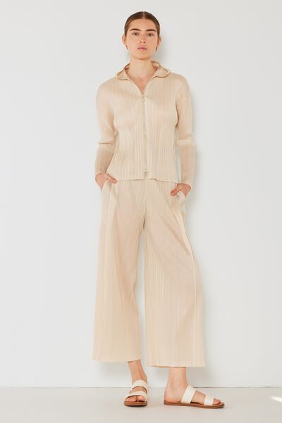 Pleated Wide-Leg Pants with Side Pleat Detail